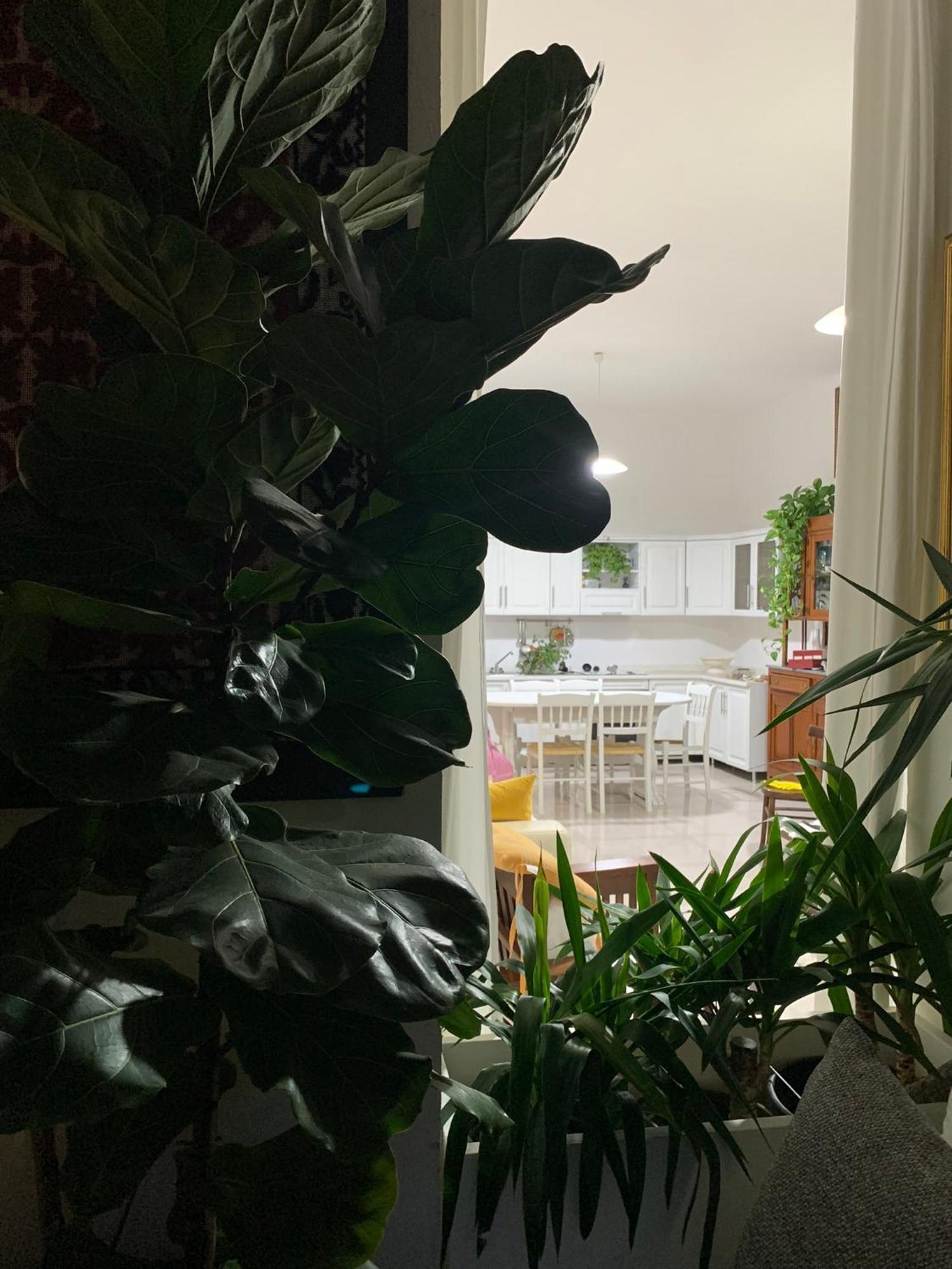 Вилла Marco'S House Dolianova Экстерьер фото