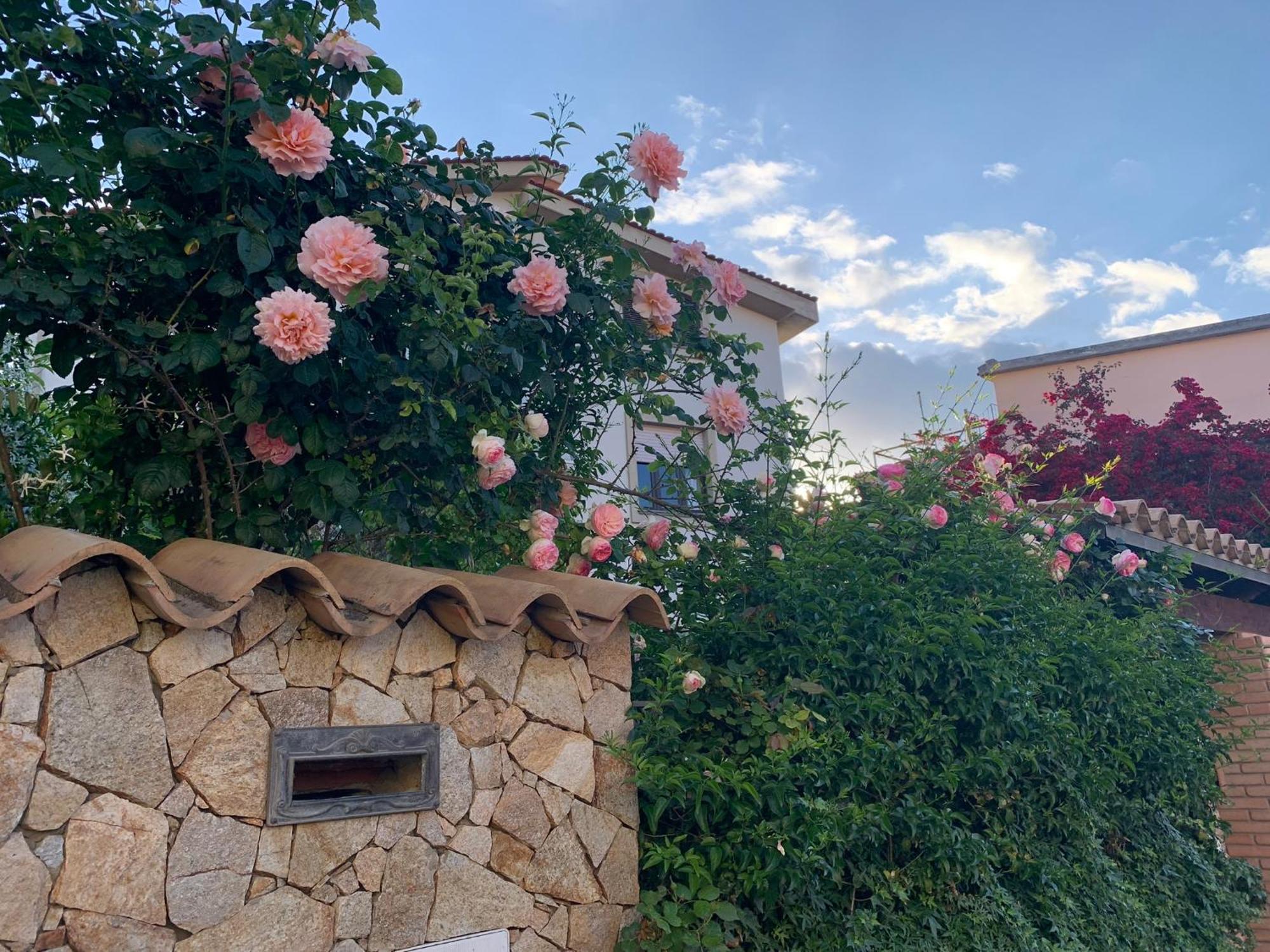 Вилла Marco'S House Dolianova Экстерьер фото