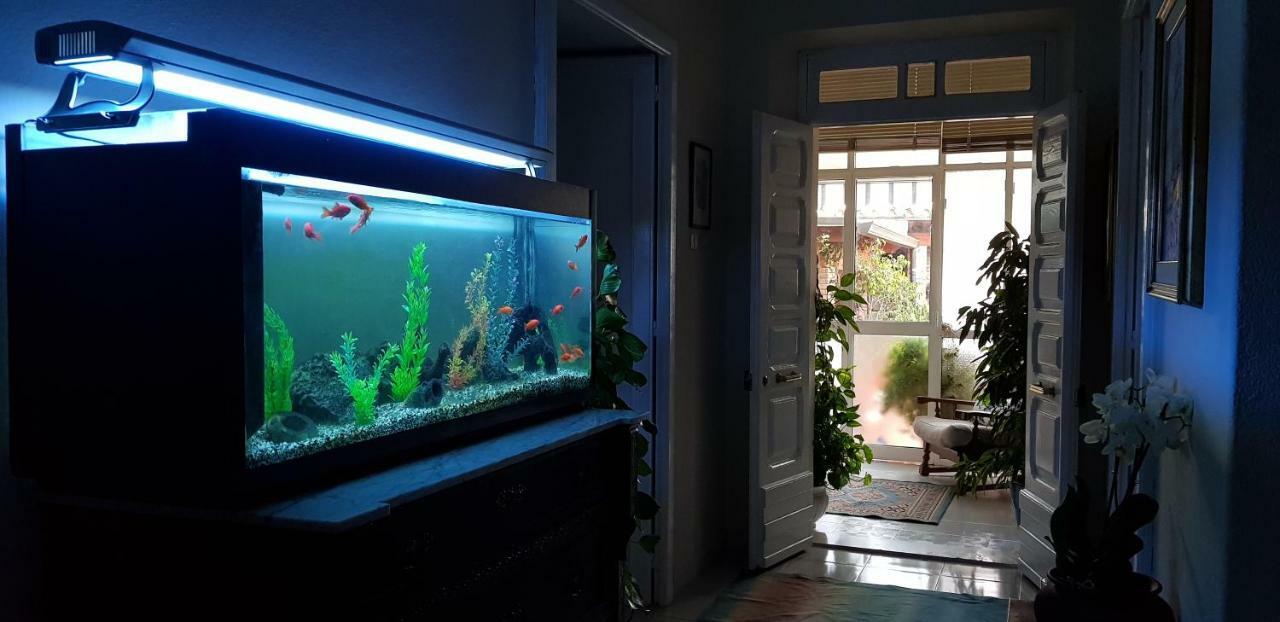 Вилла Marco'S House Dolianova Экстерьер фото